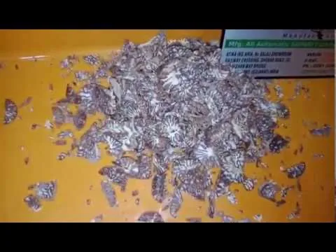 Portable Betel Nut Cutting Machine