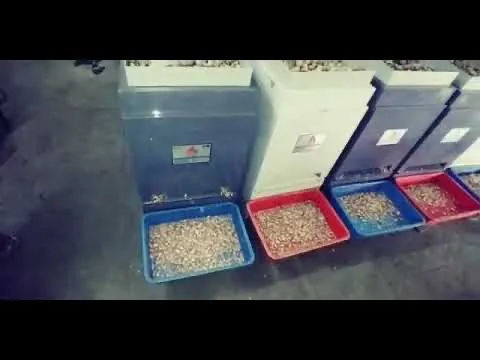 Fully Automatic Supari Cutting Machine (With Heating System)