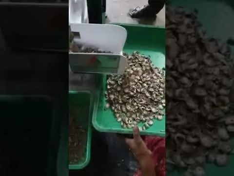 Automatic Supari Cutting Grader & Supari Cleaning Machine