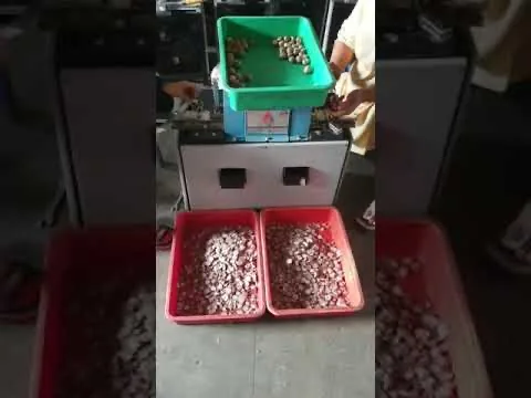 Double Feeding Single Supari Chips Cutting Machine
