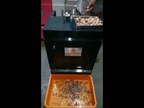 Double Supari Cutting Machine