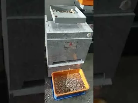 Automatic Supari Cutting Machine 4