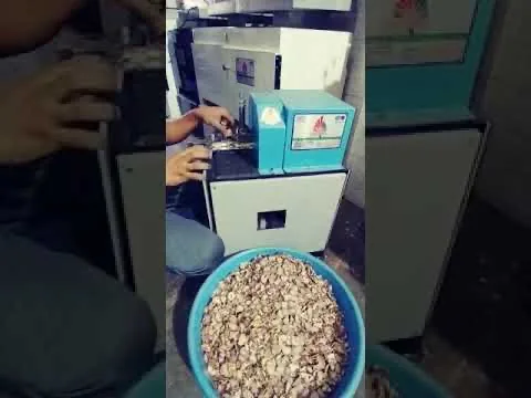 Supari Chips Cutting Machine