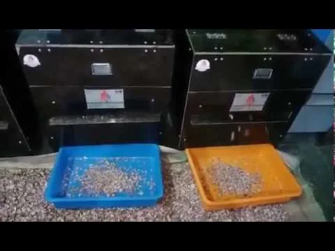 Tripal Type Double SupariCutting Machine